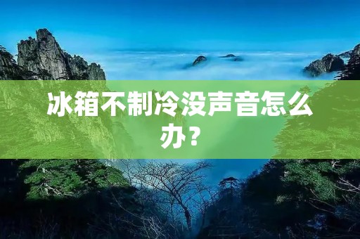 冰箱不制冷没声音怎么办？
