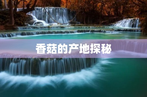 香菇的产地探秘