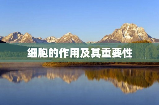 细胞的作用及其重要性
