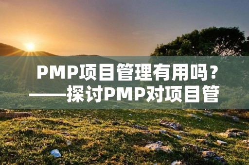  PMP项目管理有用吗？——探讨PMP对项目管理的作用 