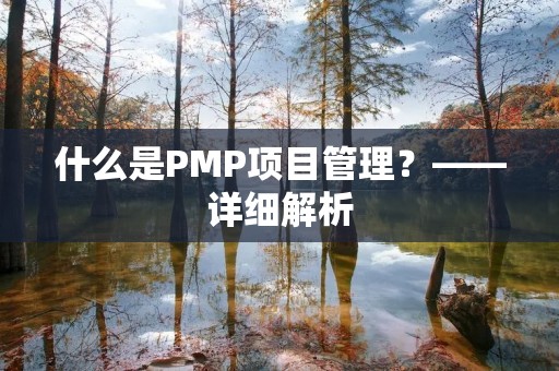 什么是PMP项目管理？——详细解析