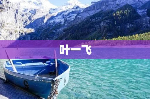 叶一飞：华人科技创业家的典范