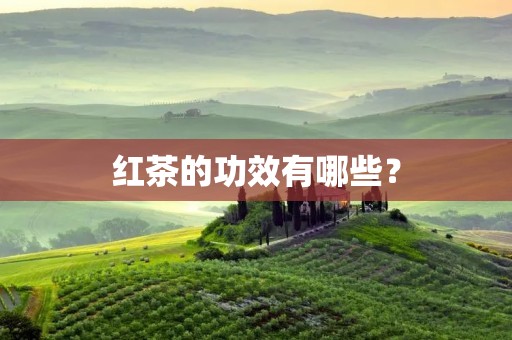 红茶的功效有哪些? 红茶的功效有哪些?