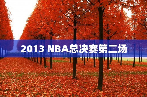 2013 NBA总决赛第二场：热火力克马刺，系列赛1-1平