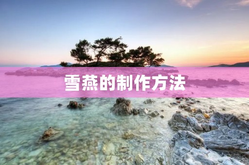 雪燕的制作方法 雪燕的制作方法