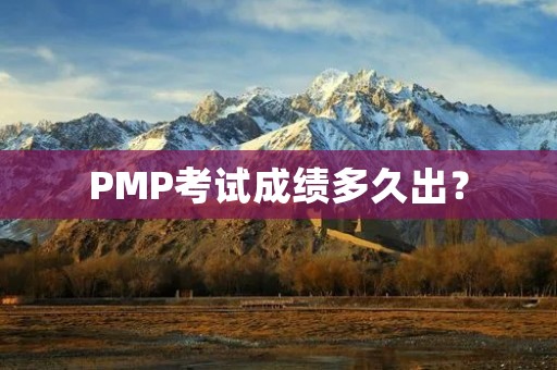 PMP考试成绩多久出？