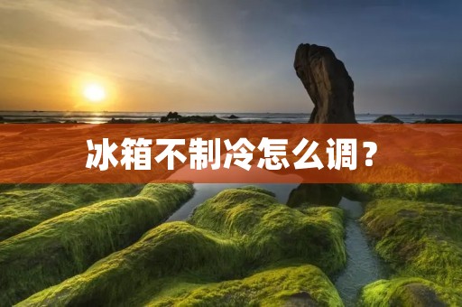 冰箱不制冷怎么调？