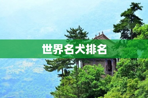世界名犬排名：这些犬种是最受欢迎的