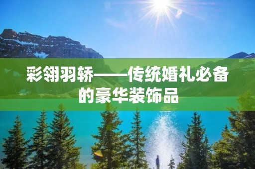 彩翎羽轿——传统婚礼必备的豪华装饰品 彩翎羽轿——传统婚礼必备的豪华装饰品