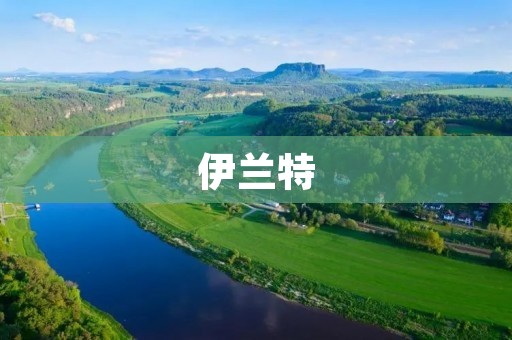 伊兰特：领先科技打造智能出行新体验