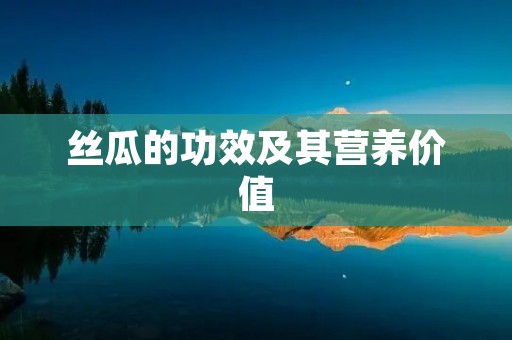 丝瓜的功效及其营养价值