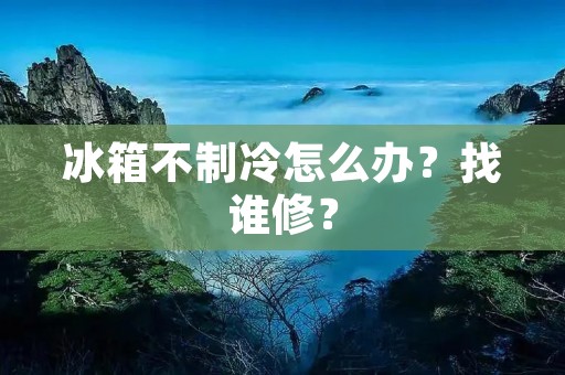 冰箱不制冷怎么办？找谁修？