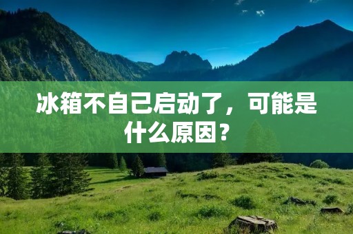冰箱不自己启动了，可能是什么原因？