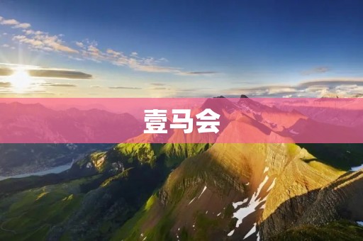 壹马会：打造全球顶级马术品牌