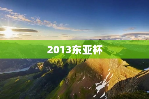 2013东亚杯：中国队夺冠