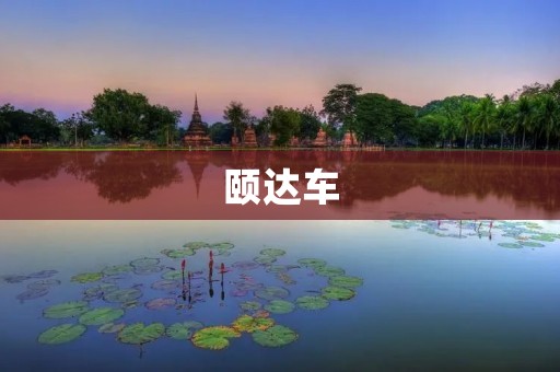 颐达车：领先的智能出行载体