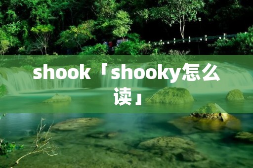 shook「shooky怎么读」