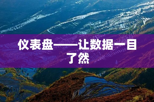 仪表盘——让数据一目了然 仪表盘——让数据一目了然