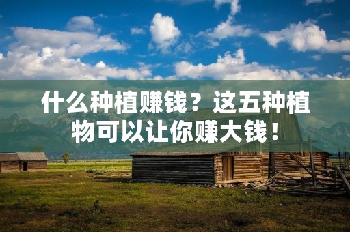什么种植赚钱？这五种植物可以让你赚大钱！