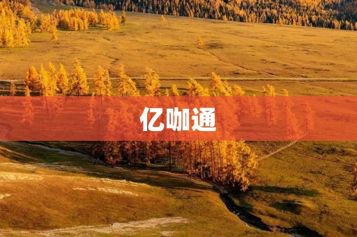 亿咖通:数字营销新时代的引领者 亿咖通:数字营销新时代的引领者