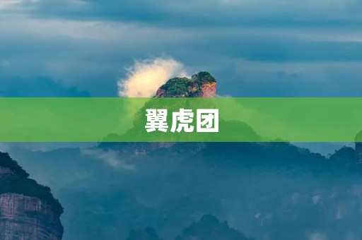 翼虎团:用爱心点亮未来的志愿者团队 翼虎团:用爱心点亮未来的志愿者团队