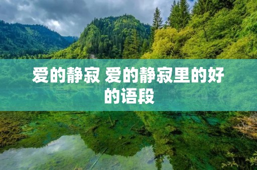 爱的静寂 爱的静寂里的好的语段