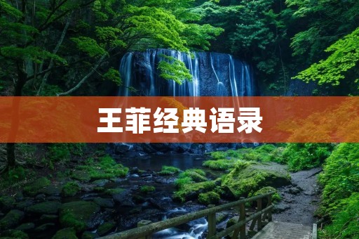 王菲经典语录：用音乐唤醒内心的力量