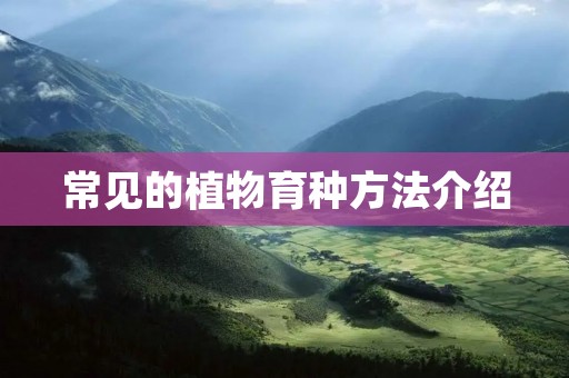 常见的植物育种方法介绍