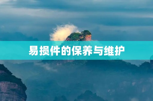 易损件的保养与维护 易损件的保养与维护