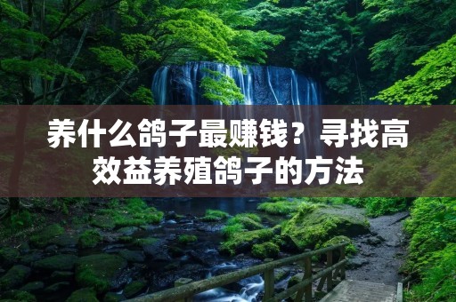 养什么鸽子最赚钱？寻找高效益养殖鸽子的方法
