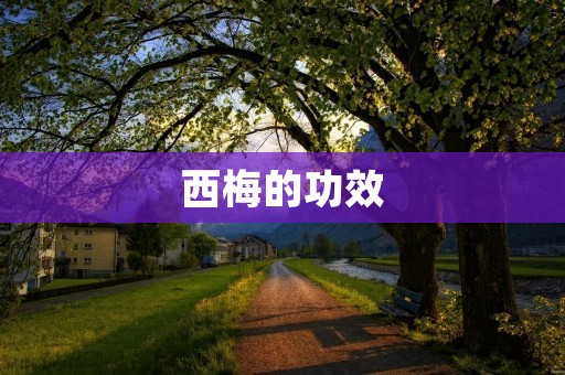 西梅的功效:让你更健康的天然食品 西梅的功效:让你更健康的天然食品
