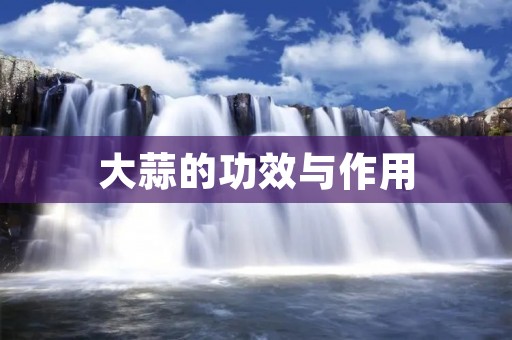 大蒜的功效与作用