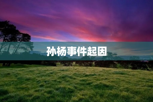 孙杨事件起因：国际泳联对其禁药检测不满，引发争议