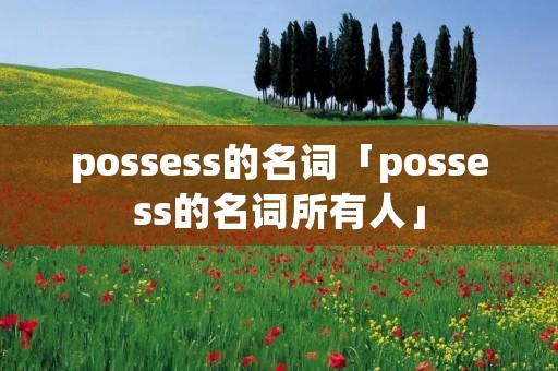 possess的名词「possess的名词所有人」 possess的名词「possess的名词所有人」