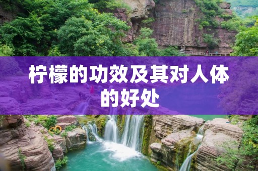柠檬的功效及其对人体的好处