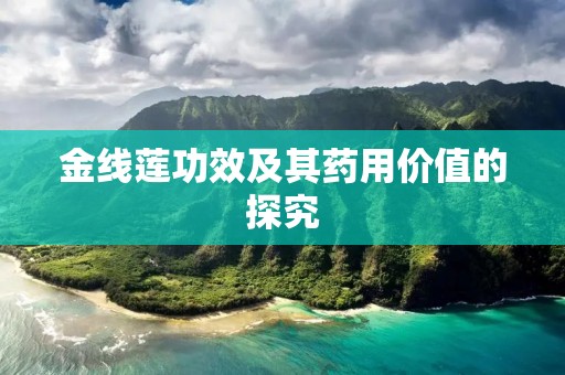金线莲功效及其药用价值的探究