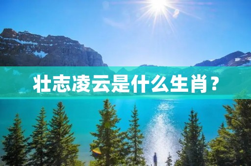 壮志凌云是什么生肖？