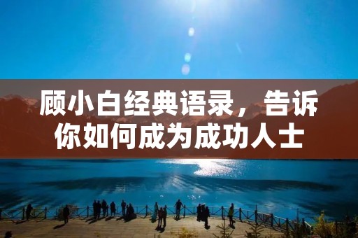 顾小白经典语录，告诉你如何成为成功人士