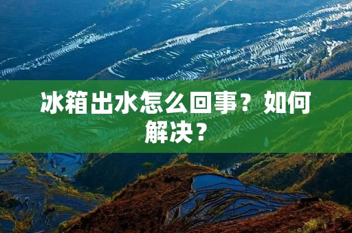 冰箱出水怎么回事？如何解决？