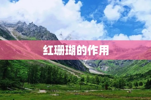 红珊瑚的作用