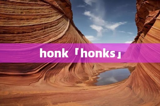 honk「honks」 honk「honks」