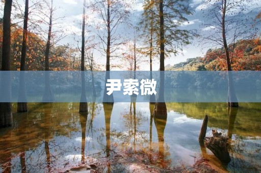 尹索微:中国新一代音乐才女 尹索微:中国新一代音乐才女