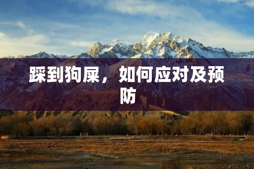 踩到狗屎,如何应对及预防 踩到狗屎,如何应对及预防