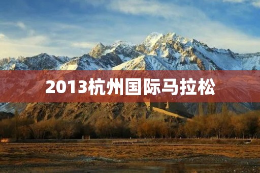 2013杭州国际马拉松:一场盛大的体育盛宴 2013杭州国际马拉松:一场盛大的体育盛宴