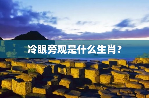 冷眼旁观是什么生肖？