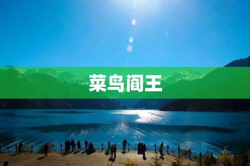 菜鸟阎王:新晋员工的职场挑战与成长 菜鸟阎王:新晋员工的职场挑战与成长