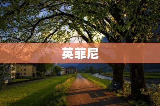 英菲尼:领先的全球化化工企业 英菲尼:领先的全球化化工企业