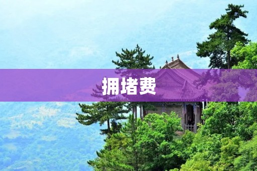 拥堵费:解决城市交通拥堵的有效方式 拥堵费:解决城市交通拥堵的有效方式