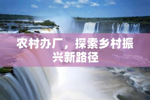 农村办厂，探索乡村振兴新路径