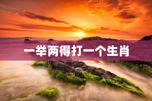 一举两得打一个生肖